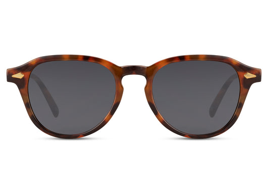 Zonnebril tommy turtoise