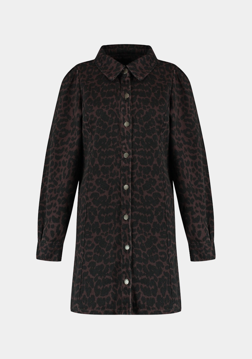 Zara dress tijgerprint