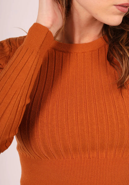 Korte longsleeve top camel