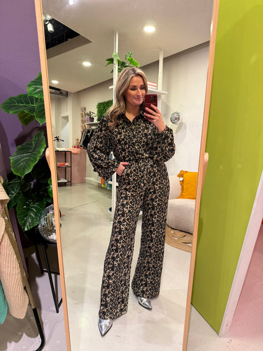 Aster pants leopard