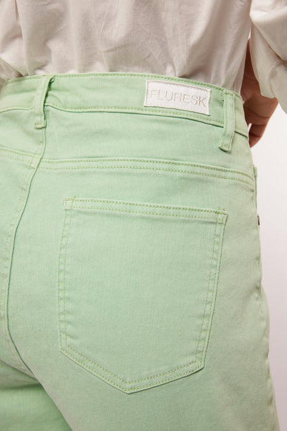 Keshia shorts edge water green