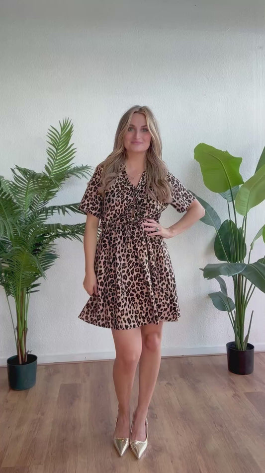 Leopard bow dress